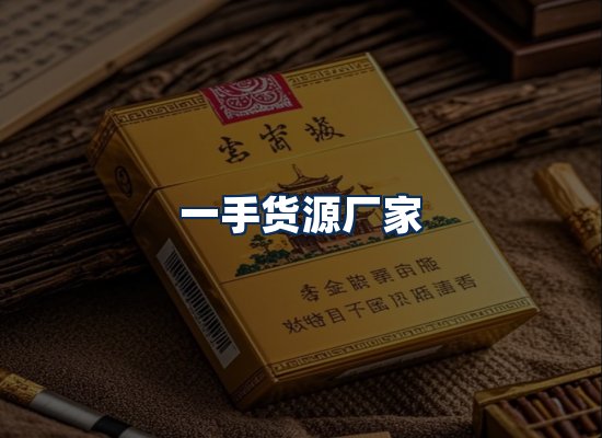 专业团队办公环境